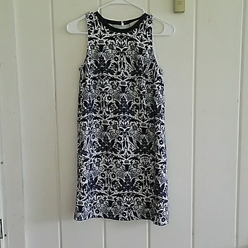 Ann Taylor Loft dress